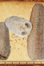 TOY MAKING- LOOFA- 8X2.5X2.5- LARGE- EACH