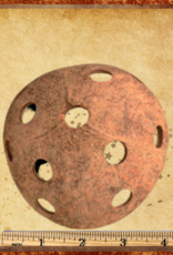 TOY MAKING- COCONUT HALF- 4X5 DIA-  WITH MULTIPLE HOLES