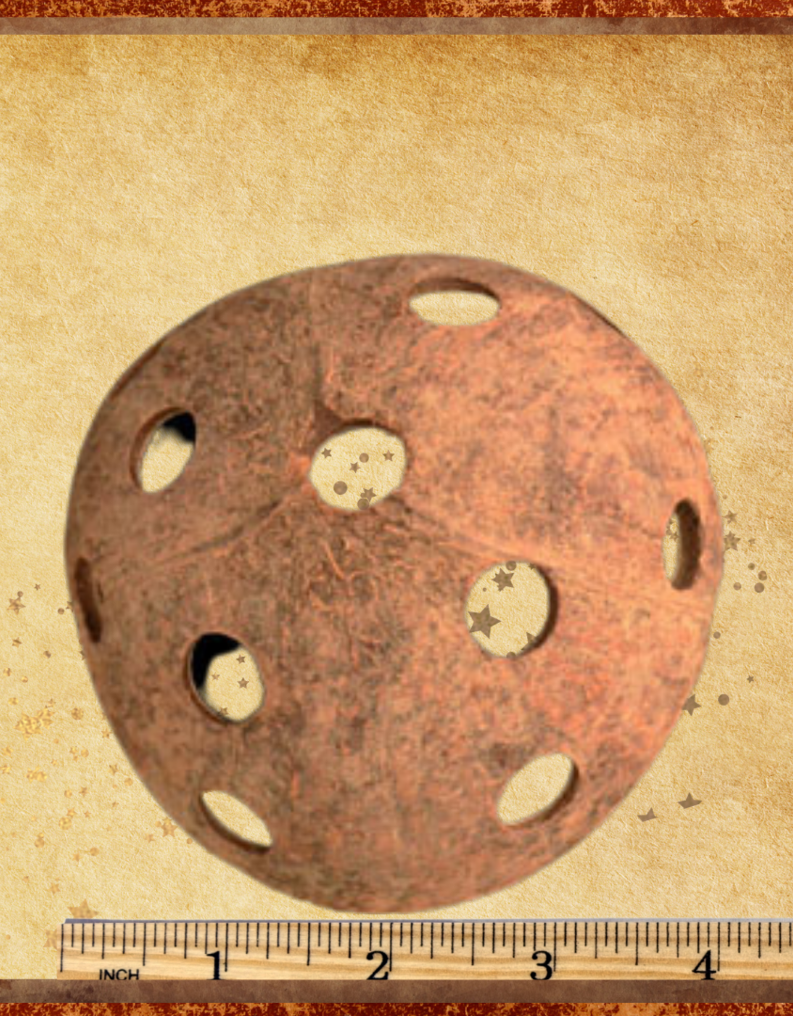 TOY MAKING- COCONUT HALF- 4X5 DIA-  WITH MULTIPLE HOLES
