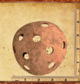 TOY MAKING- COCONUT HALF- 4X5 DIA-  WITH MULTIPLE HOLES