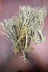 TERRARIUM- TREE- DRIFTWOOD- 12 INCHES