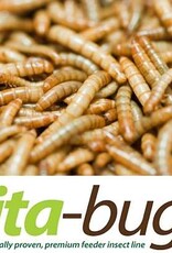 TIMBERLINE LIVE- GIANT MEALWORMS VITA BUGS!- 25 CT