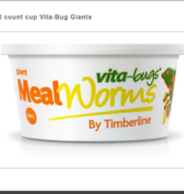 TIMBERLINE LIVE- GIANT MEALWORMS VITA BUGS!- 100 CT