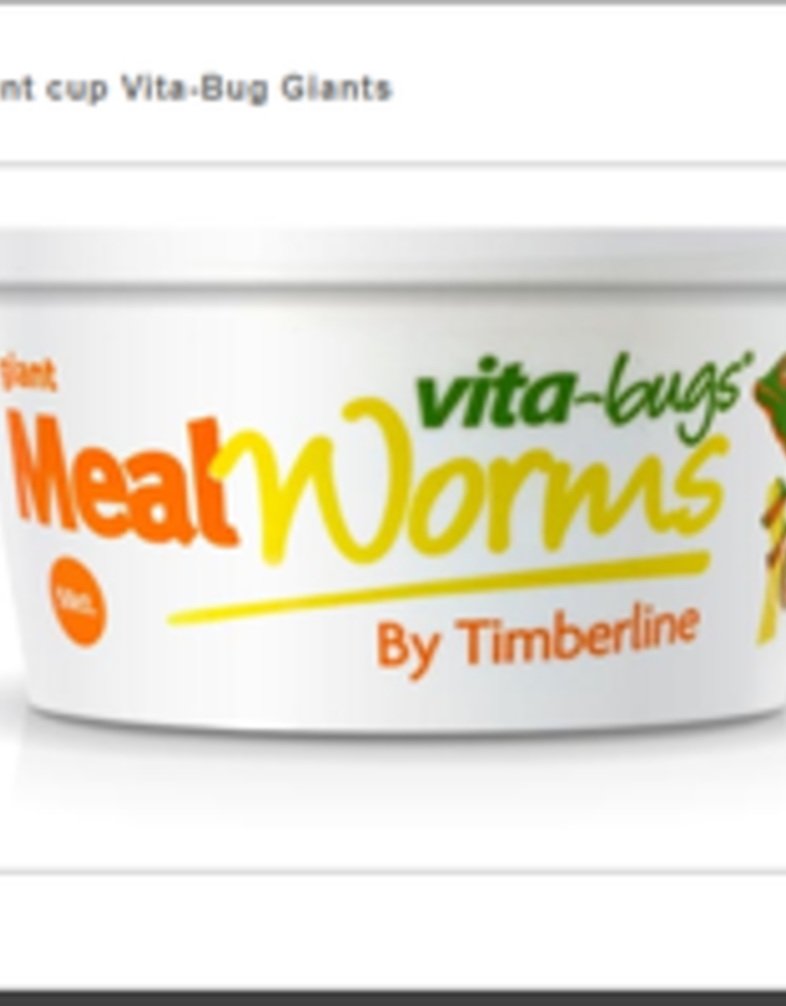 TIMBERLINE LIVE- GIANT MEALWORMS VITA BUGS!- 25 CT