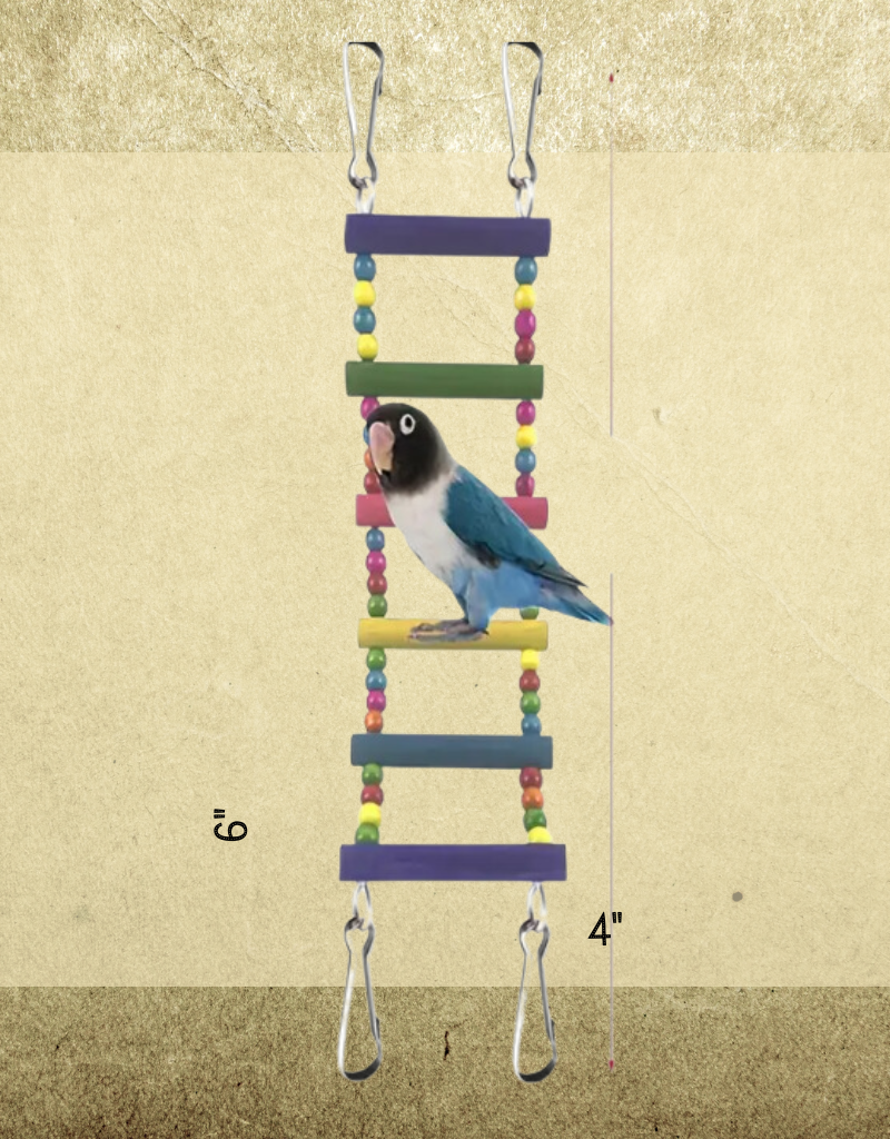 LADDER WOOD BEADED 15X4X1 6RUNG Rhonda's Aviary