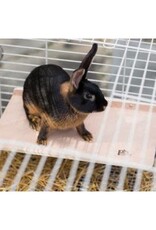 PREVUE PET PRODUCTS, INC. PREVUE-3203- SMALL ANIMAL- 15.75X9.25X3- WOOD - PLATFORM- EXTRA LARGE