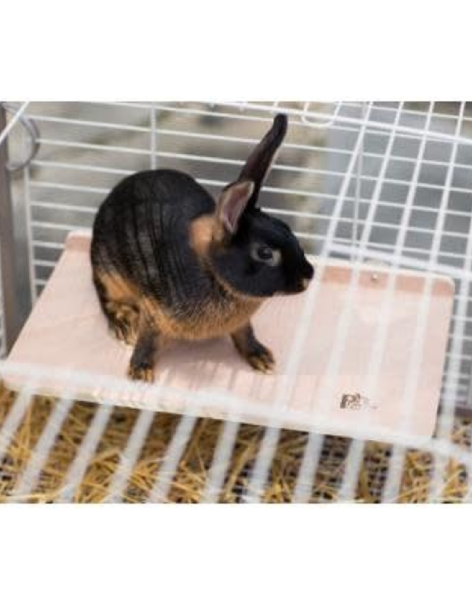 PREVUE PET PRODUCTS, INC. PREVUE-3203- SMALL ANIMAL- 15.75X9.25X3- WOOD - PLATFORM- EXTRA LARGE