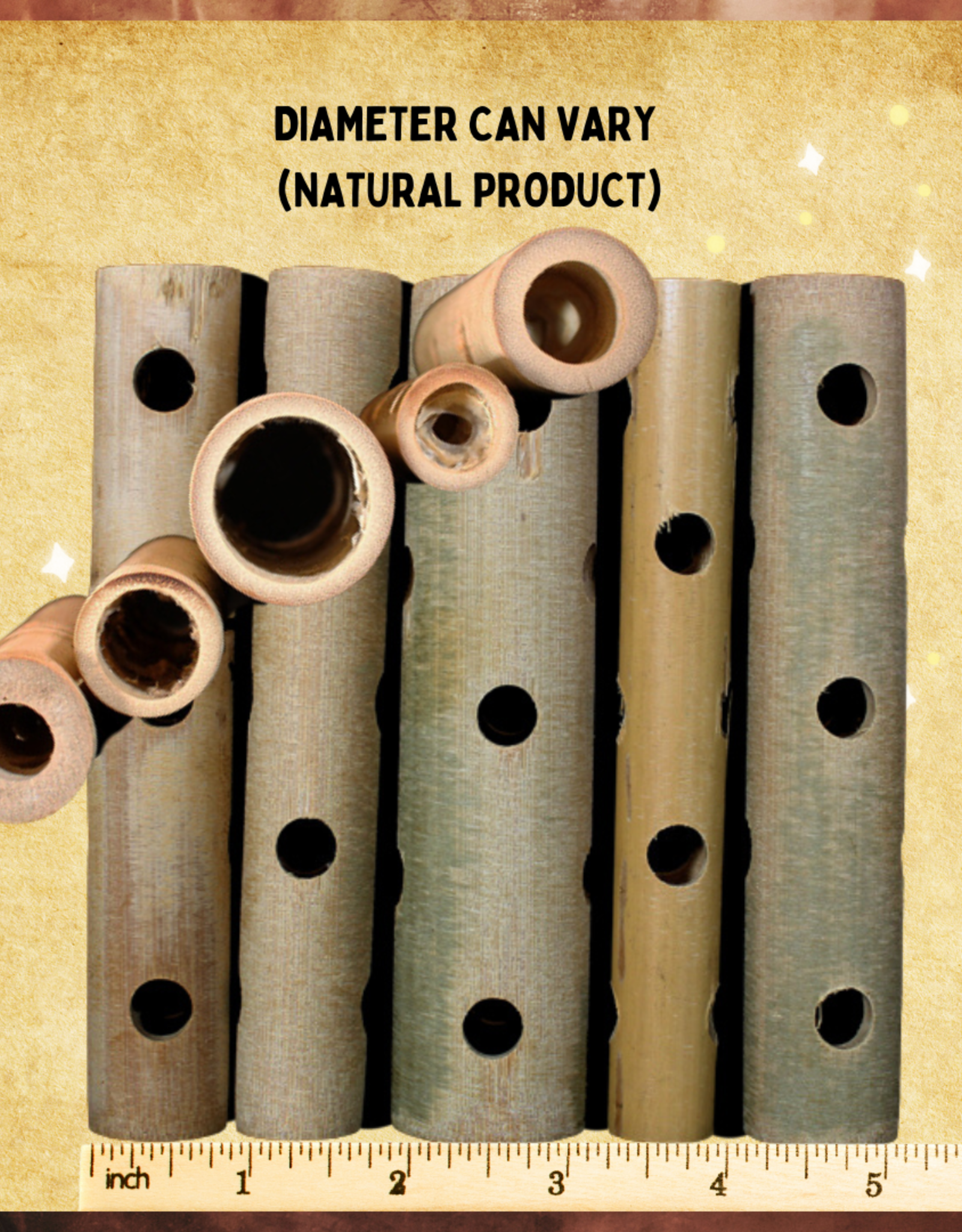 SUPER BIRD CREATIONS FOOT TOY- TOY BASE- 5.5X1.5-ISH- WITH FIVE 9 mm HOLES- BAMBOO TUBES- EACH