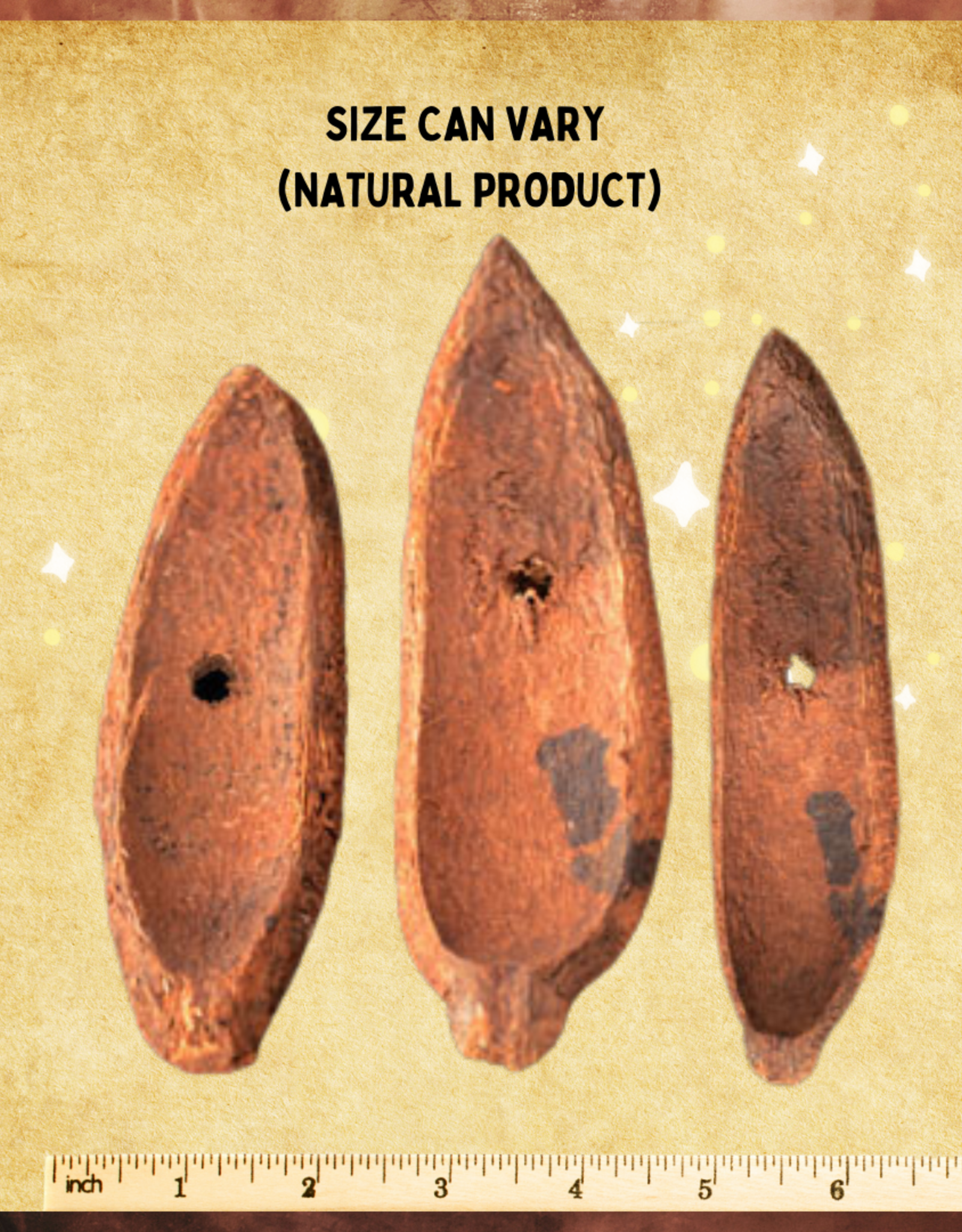 SUPER BIRD CREATIONS TOY MAKING- MAHOGANY POD- 1.5X2.5X2.5- STEM- DRILLED- EACH