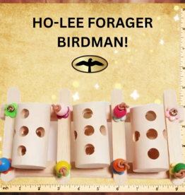BIRD TOY- WOOD PUZZLE- 9X5X3- HO-LEE FORAGER BIRD MAN!