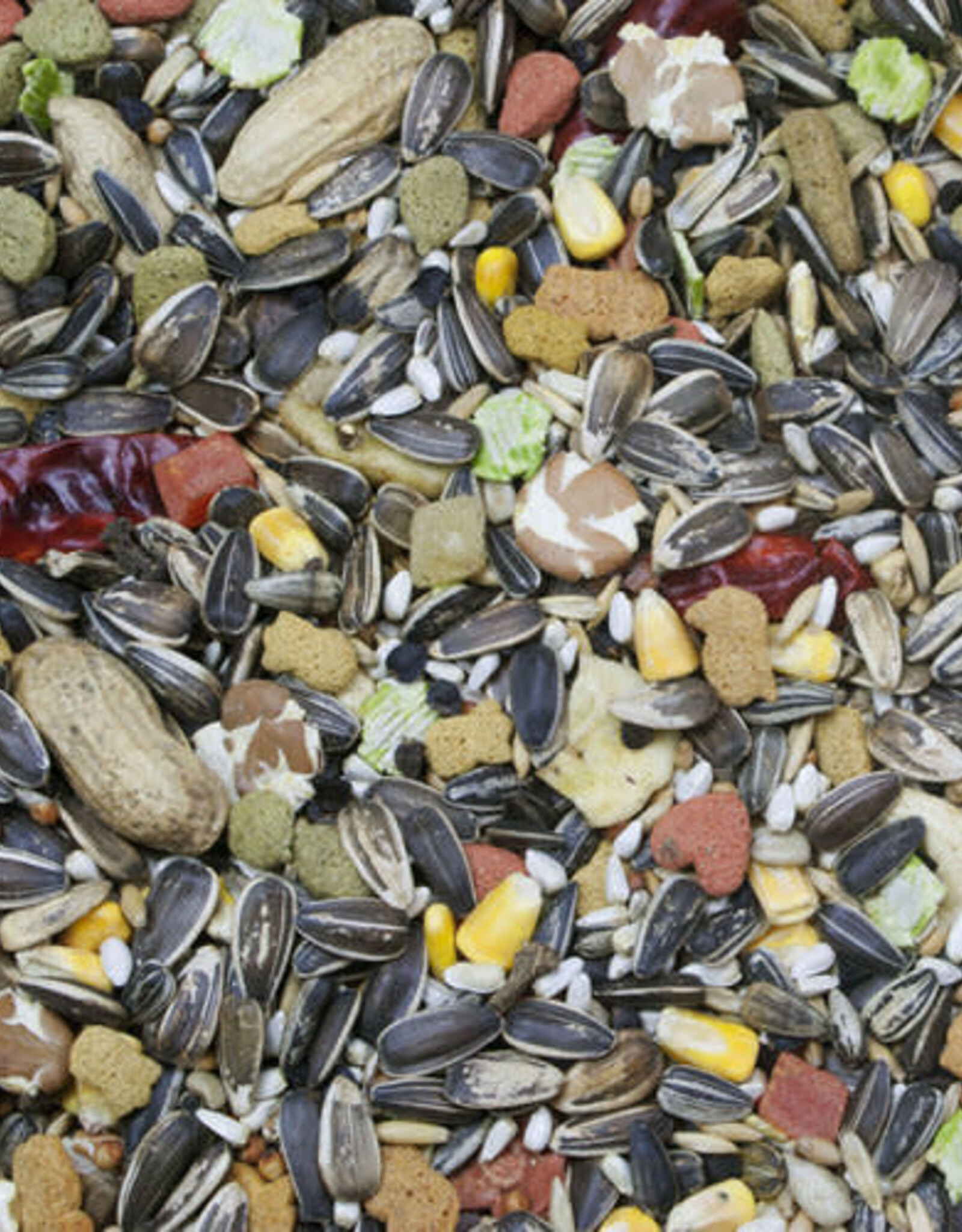 HIGGINS PREMIUM PET FOODS BIN #137- HIGGINS- VITA SEED- 18X5X34- PARROT- 25 LB