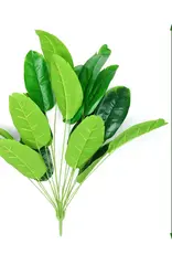 TERRARIUM PLANT- 18X18X32.2- TALL- BANANA PLANT (18 LEAVES)