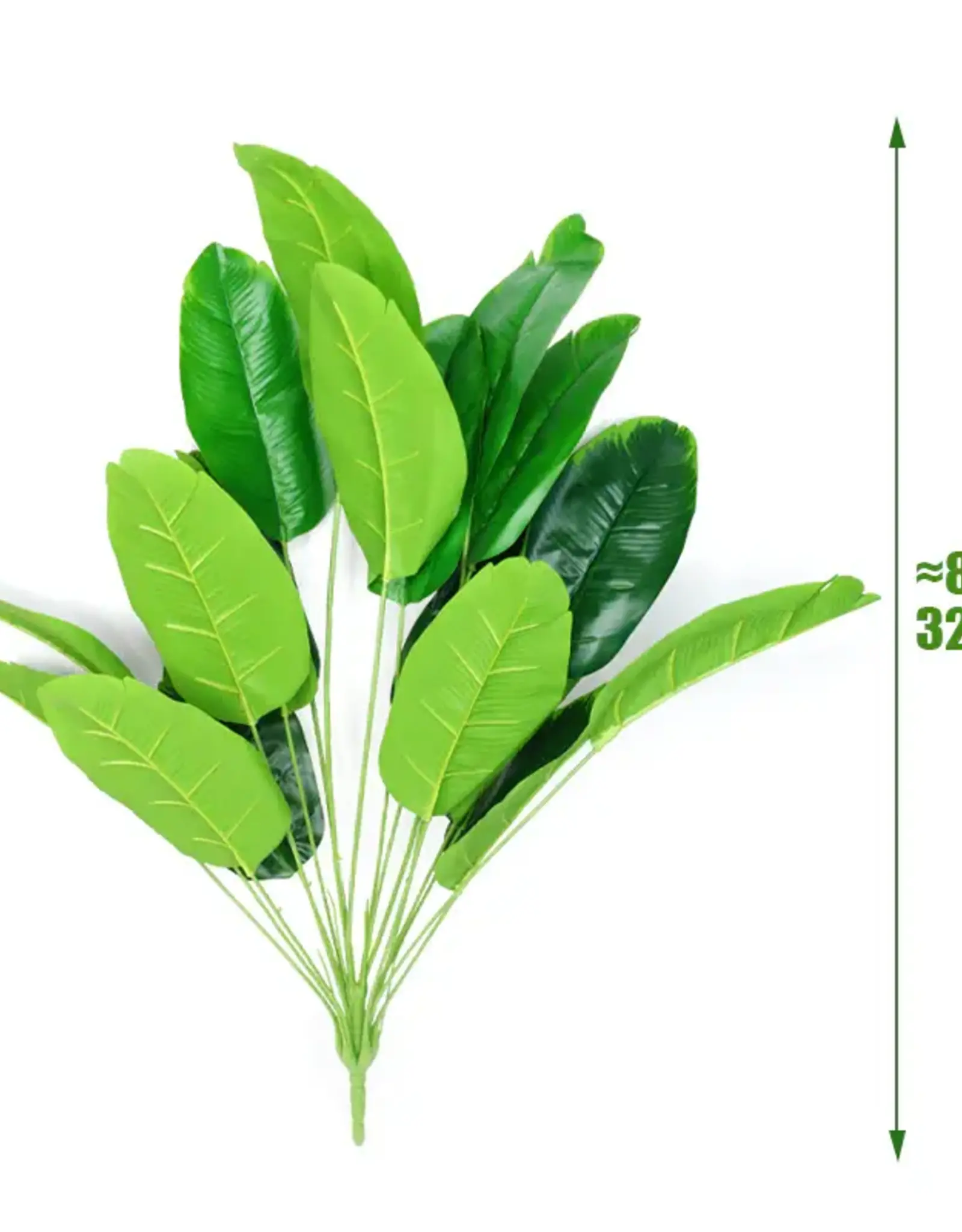 TERRARIUM PLANT- 18X18X32.2- TALL- BANANA PLANT (18 LEAVES)