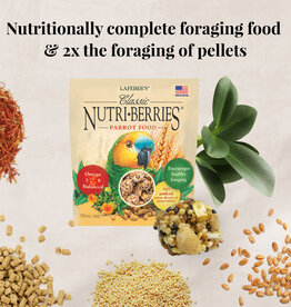 LAFEBER'S LAFEBER'S- FORAGING FUN PACK- DIET/TREAT- 10.5X6.5X2- 5 OZ- PARROT