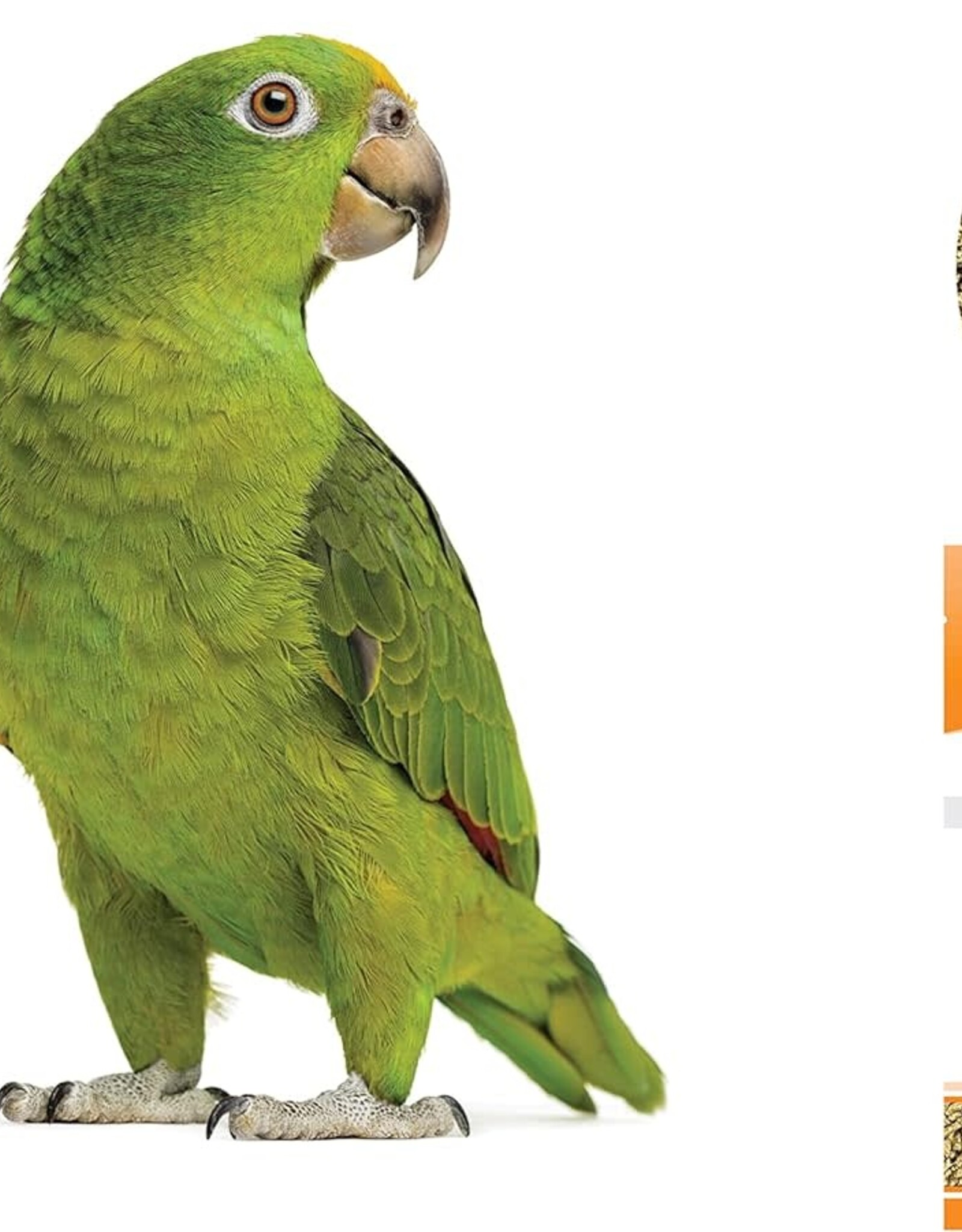 TOP'S PARROT FOOD TOP'S- OUTSTANDING BIRD PELLETS- HOOKBILL-  1 LB- SMALL