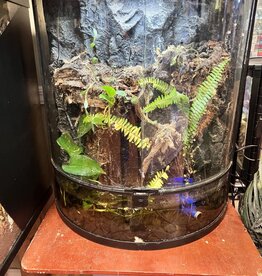 BIOACTIVE- PALUDARIUM- 25X22X12- BOWFRONT- TROPICAL- AS IS