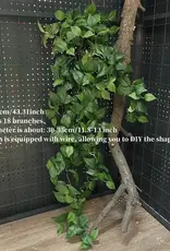 TERRARIUM PLANT- 13X13X44- FICUS (18 STEMS)