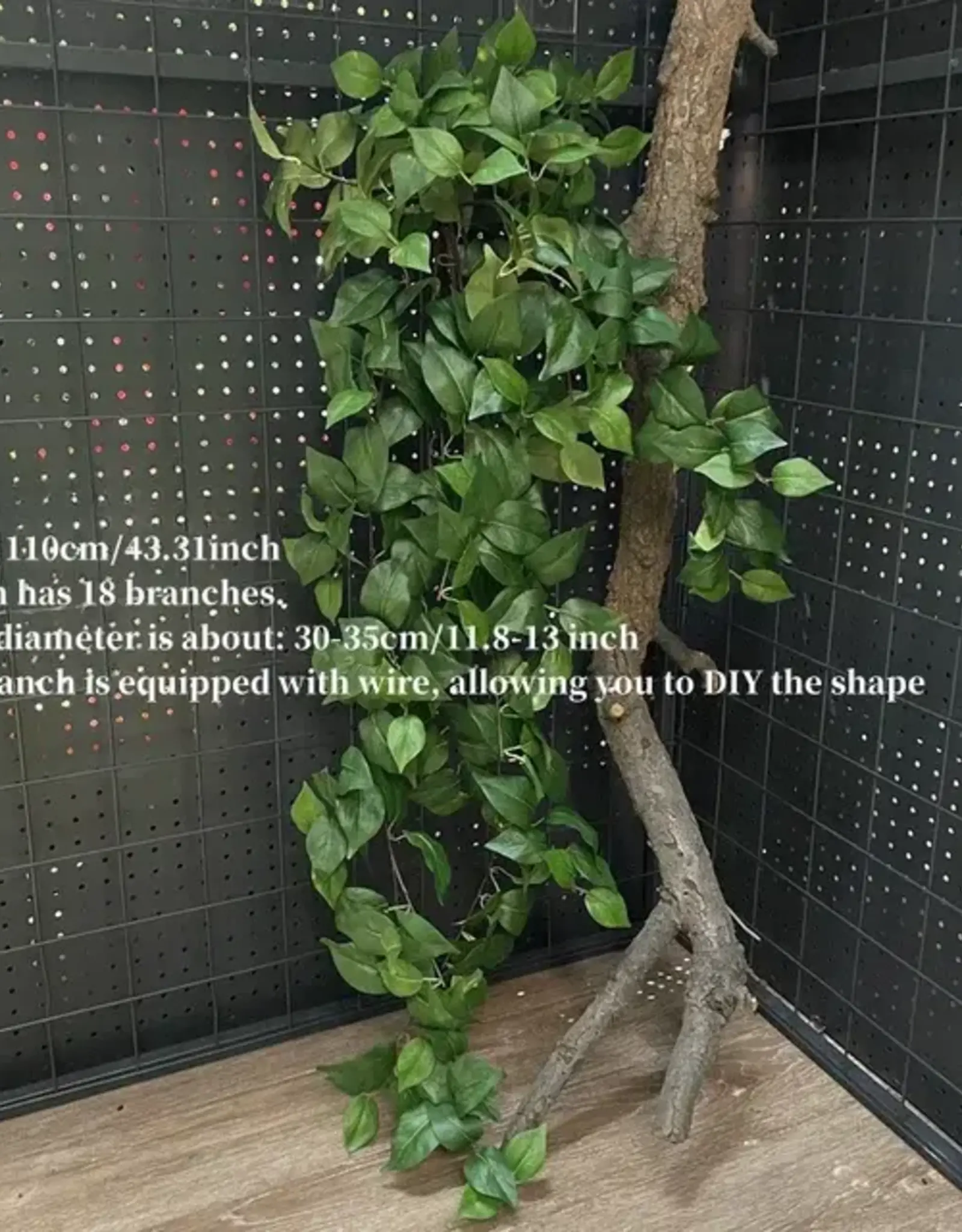 TERRARIUM PLANT- 13X13X44- FICUS (18 STEMS)