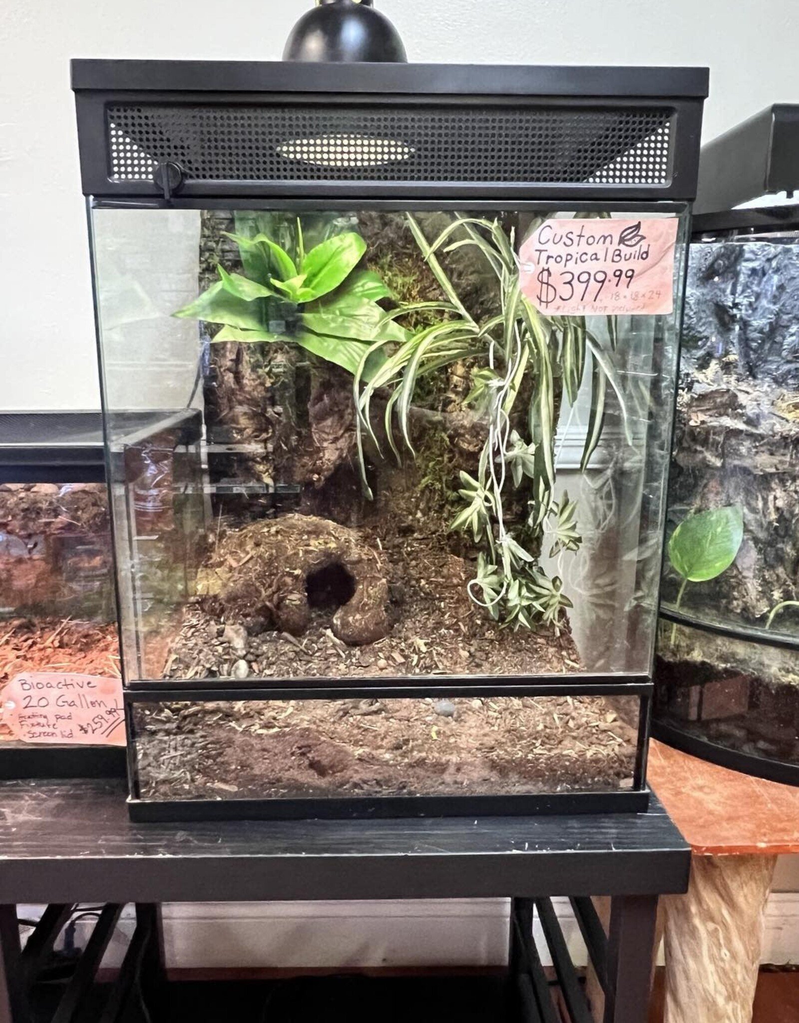 BIOACTIVE- TROPICAL- TERRARIUM- 18X18X24- TROPICAL- AS IS