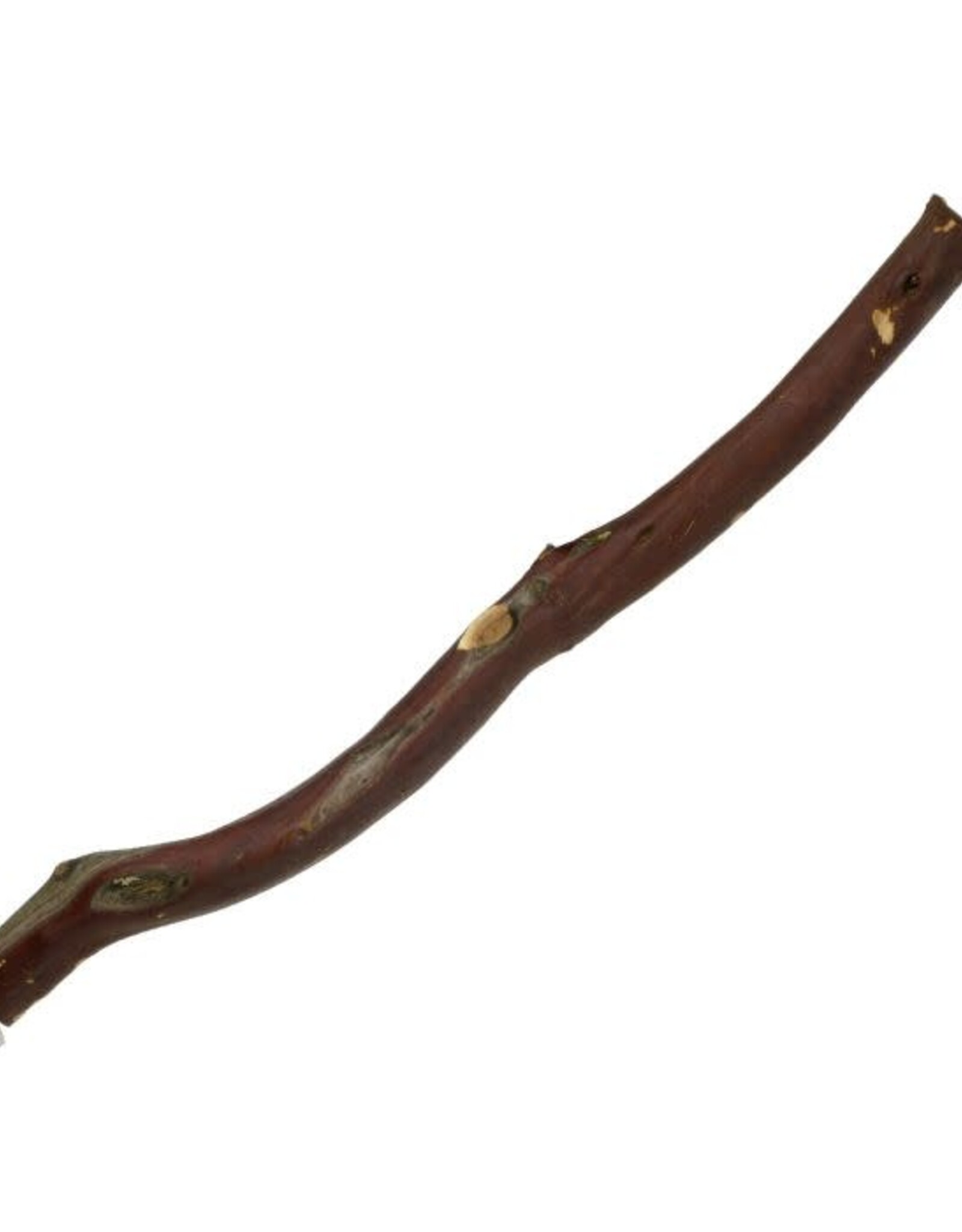 PARADISE TOYS PT01053- PERCH- MANZANITA- MEDIUM
