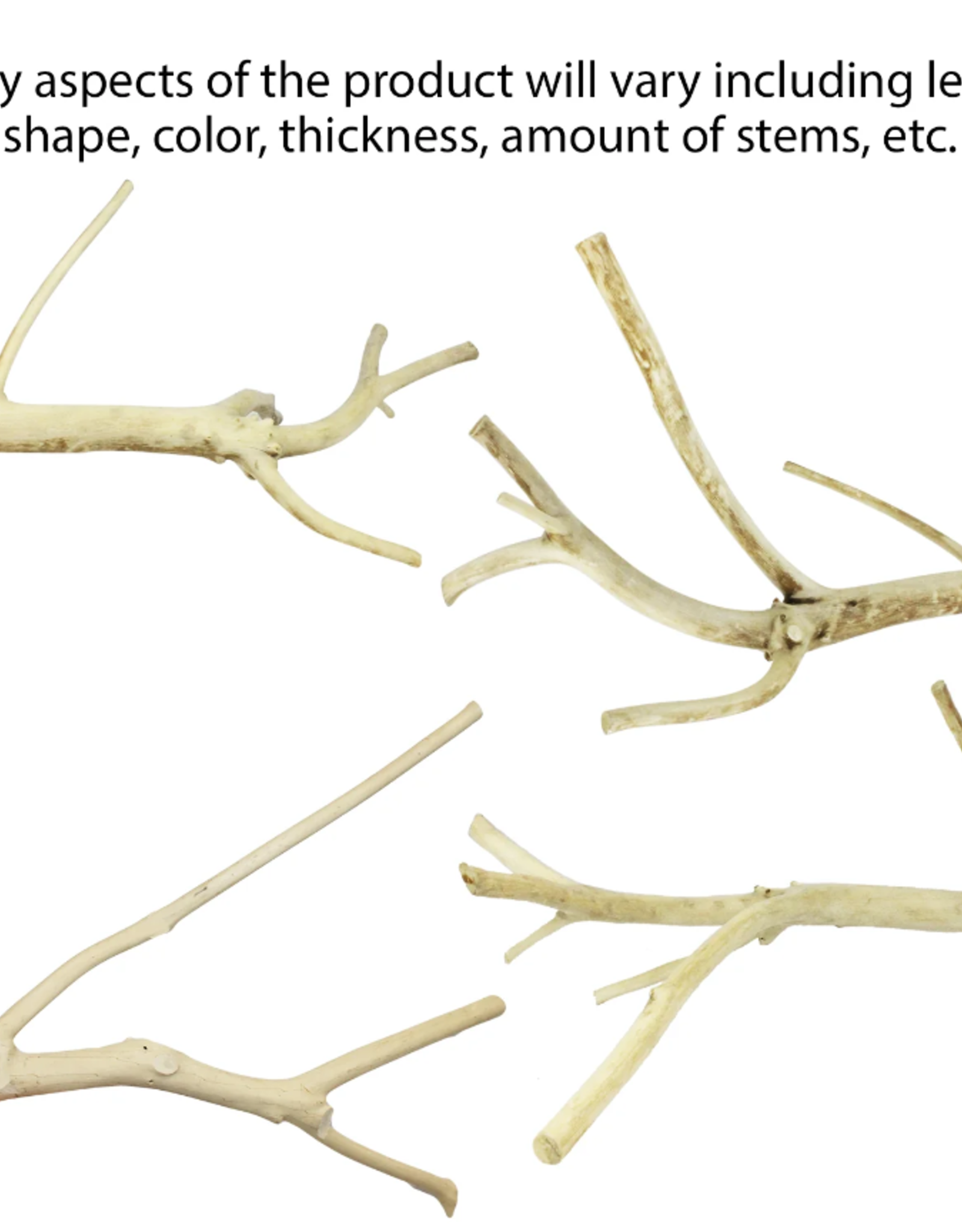 EXOTIC NUTRITION EN120- PERCH- MULTI-BRANCH- 10" long x 0.25" thick- SMALL