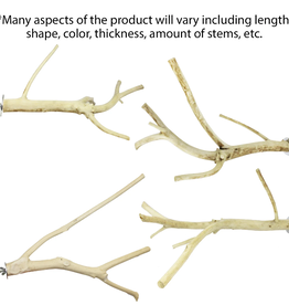 EXOTIC NUTRITION EN120- PERCH- MULTI-BRANCH- 10" long x 0.25" thick- SMALL