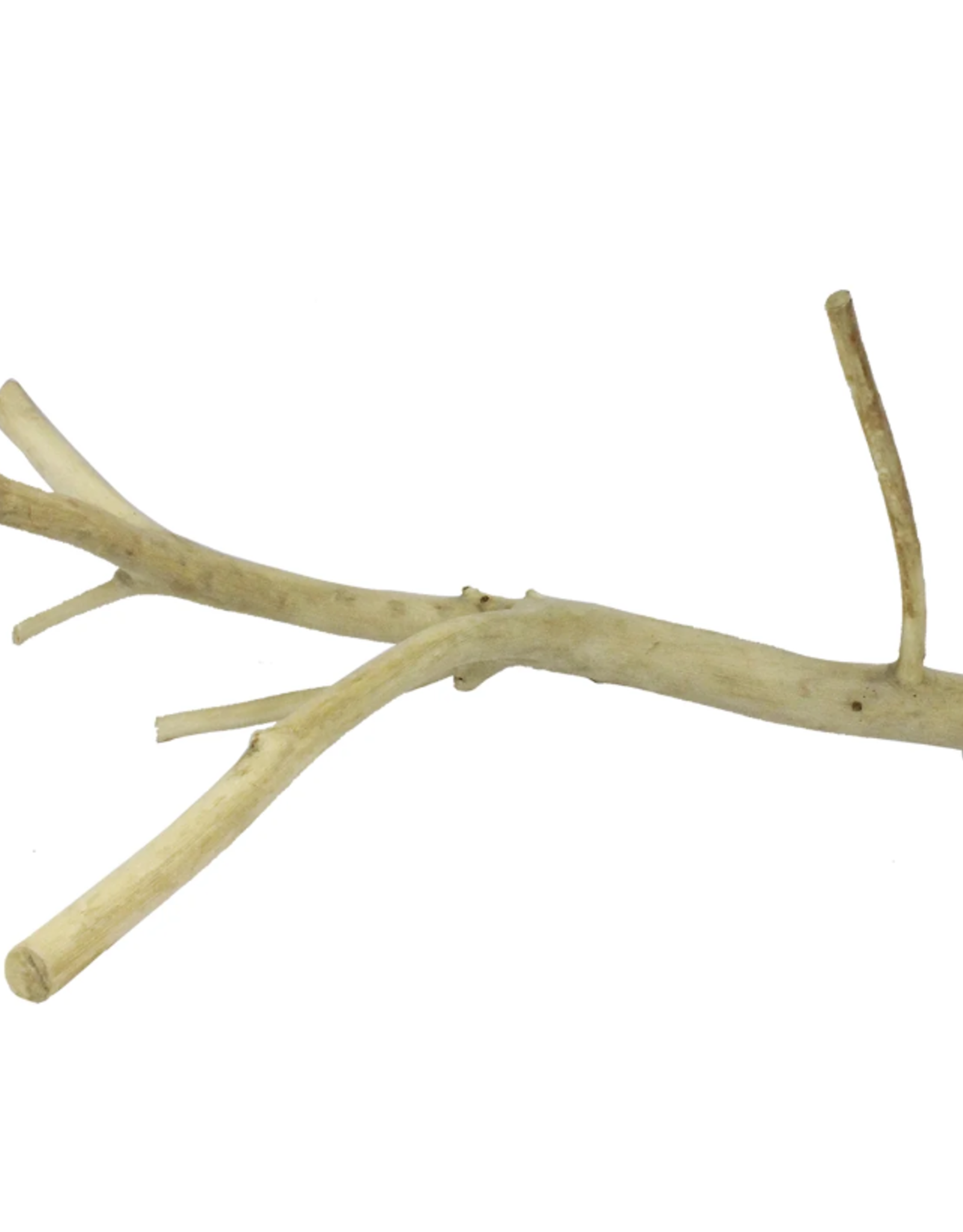 EXOTIC NUTRITION EN120- PERCH- MULTI-BRANCH- 10" long x 0.25" thick- SMALL
