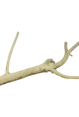 EXOTIC NUTRITION AYC-A829- PERCH- MULTI-BRANCH- 14-16" long x 0.75" thick- LARGE