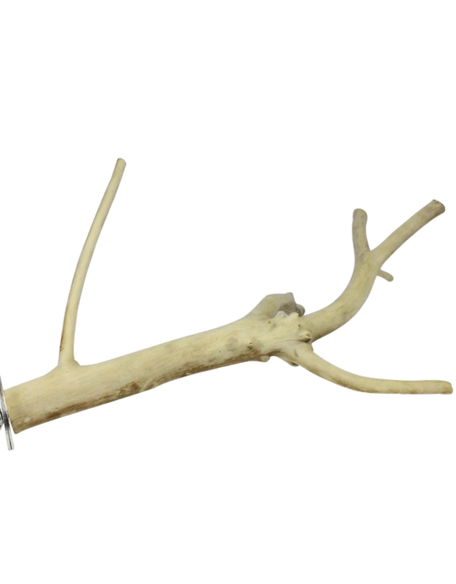 EXOTIC NUTRITION AYC-A829- PERCH- MULTI-BRANCH- 14-16" long x 0.75" thick- LARGE