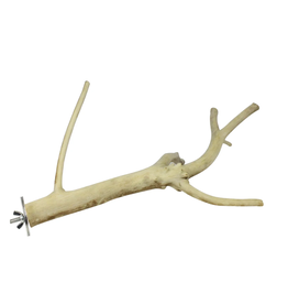 EXOTIC NUTRITION AYC-A829- PERCH- MULTI-BRANCH- 14-16" long x 0.75" thick- LARGE