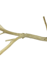 EXOTIC NUTRITION AYC-A829- PERCH- MULTI-BRANCH- 14-16" long x 0.75" thick- LARGE
