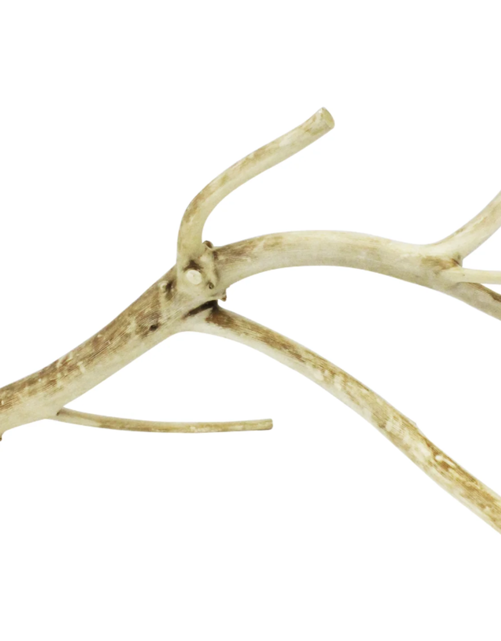 EXOTIC NUTRITION AYC-A829- PERCH- MULTI-BRANCH- 14-16" long x 0.75" thick- LARGE