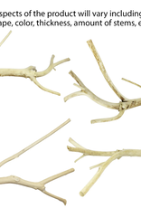 EXOTIC NUTRITION AYC-A829- PERCH- MULTI-BRANCH- 14-16" long x 0.75" thick- LARGE