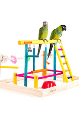 PENN PLAX PLASTICS, INC. BA148- PLAY GYM- TABLE TOP- 12X15X19- BIRD ACTIVITY CENTER