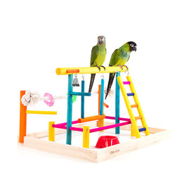 PENN PLAX PLASTICS, INC. BA148- PLAY GYM- TABLE TOP- 12X15X19- BIRD ACTIVITY CENTER