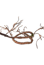 PENN PLAX PLASTICS, INC. REP401- CLIMBER VINE- GREEN- 5 FEET 3/8- DIA
