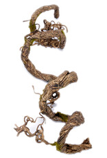 PENN PLAX PLASTICS, INC. REP401- CLIMBER VINE- GREEN- 5 FEET 3/8- DIA
