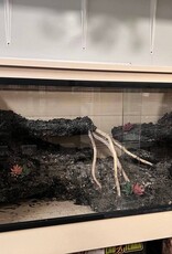 BIOACTIVE- 4X2X2 FEET- DESERT ENCLOSURE- AS IS