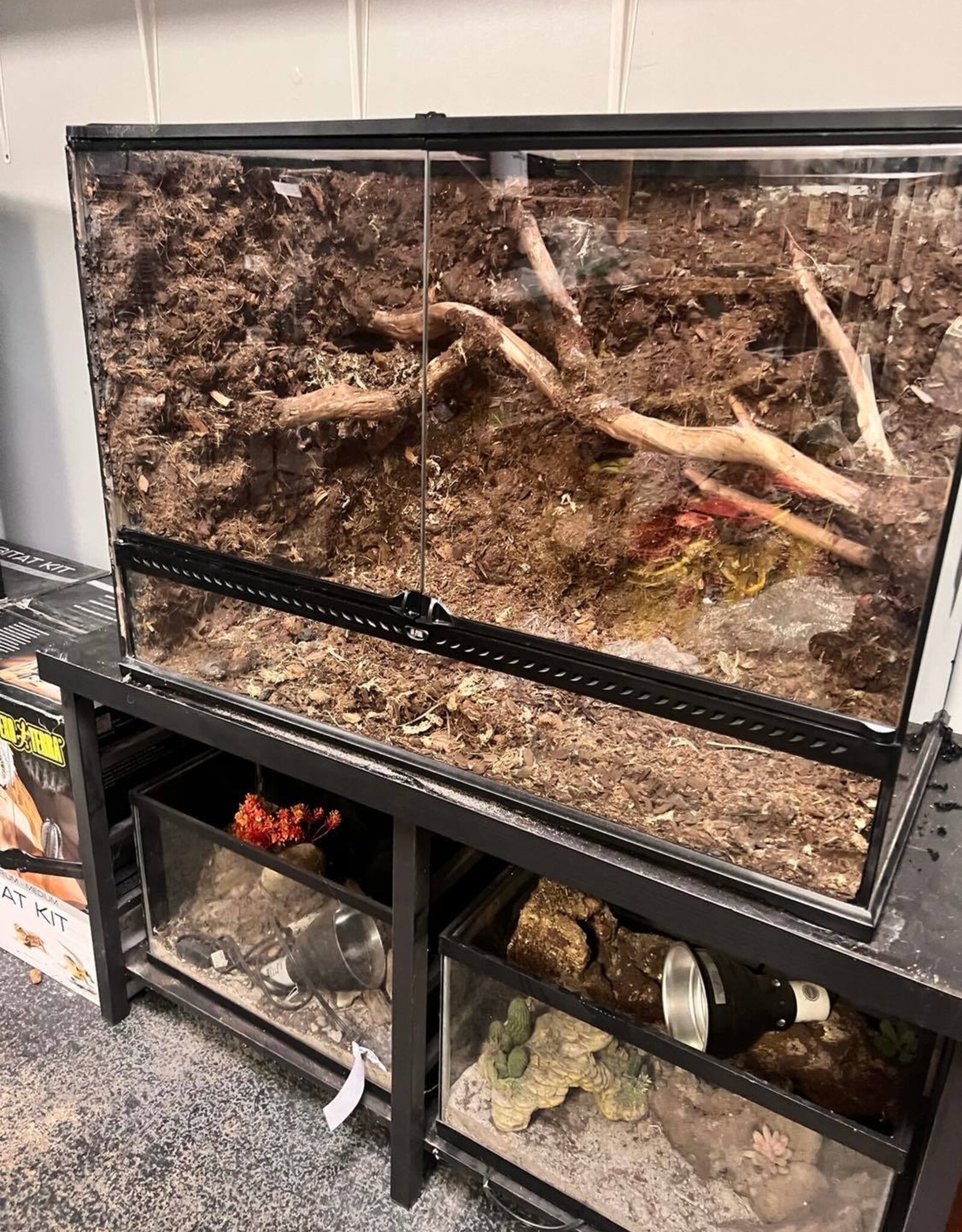 BIOACTIVE- 4X2X2 FEET- DESERT ENCLOSURE- AS IS
