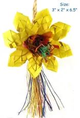 PLANET PLEASURES PLP 03389- FORAGING-  3X2X6.5- SUNFLOWER - SMALL
