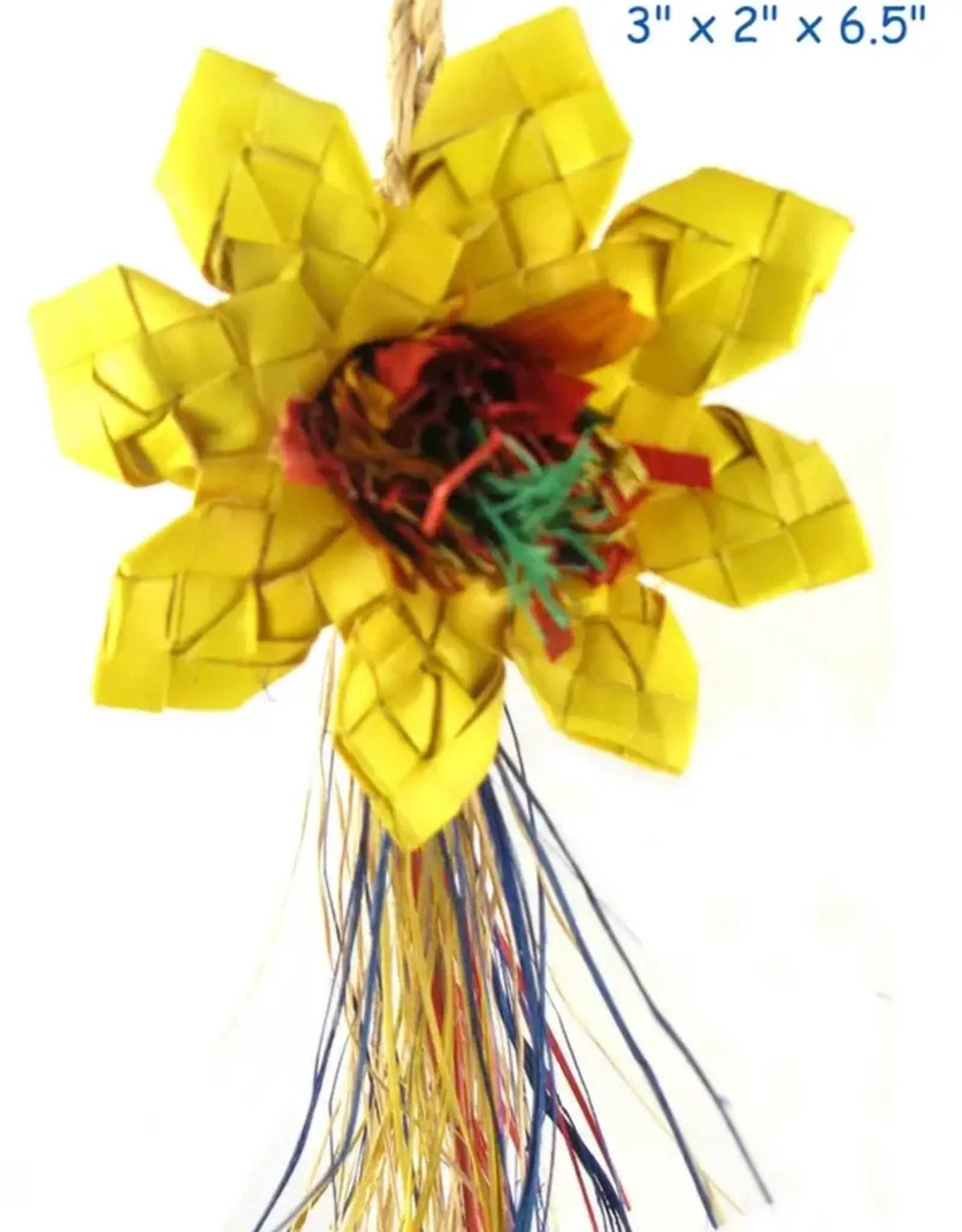 PLANET PLEASURES PLP 03389- FORAGING-  3X2X6.5- SUNFLOWER - SMALL