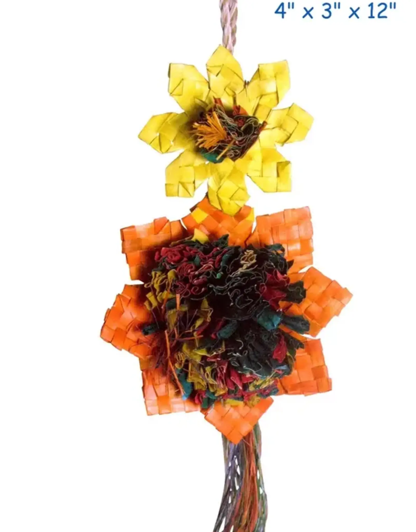 PLANET PLEASURES PLP 03390- FORAGING- 4X3X12- SUNFLOWER - MEDIUM