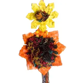 PLANET PLEASURES PLP 03390- FORAGING- 4X3X12- SUNFLOWER - MEDIUM