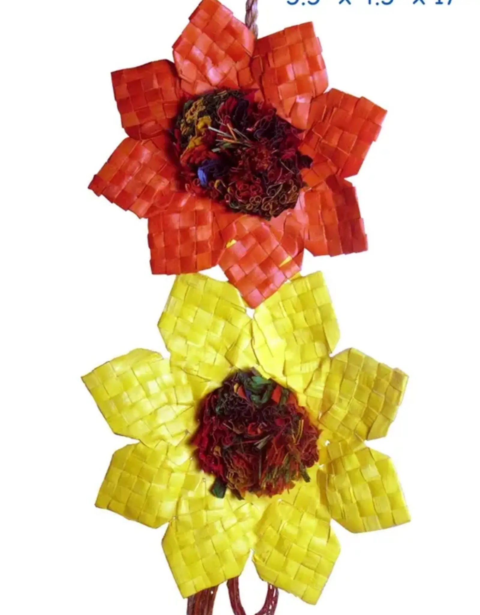 PLANET PLEASURES PLP 03391- FORAGING- 5X4.5X17- SUNFLOWER - LARGE