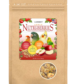 LAFEBER'S LAFEBER'S- NUTRI-BERRIES- PELLETED DIET/TREAT- 8.25X8.25X6- 10 OZ- SMALL/MED BIRD- APPLE