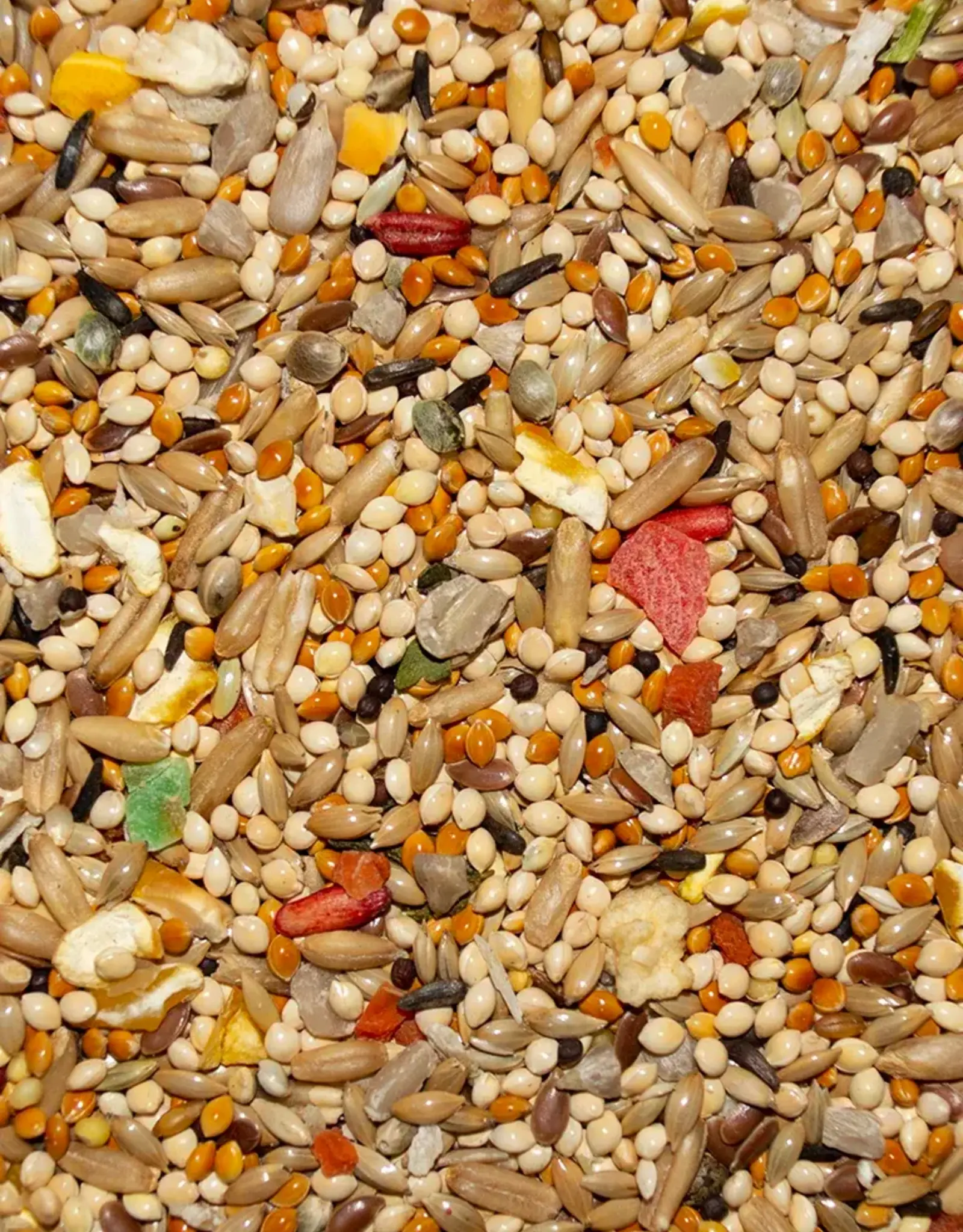 VOLKMAN SEED COMPANY INC VOLKMAN- AVIAN SCIENCE- SUPER- PARAKEET  4 LB