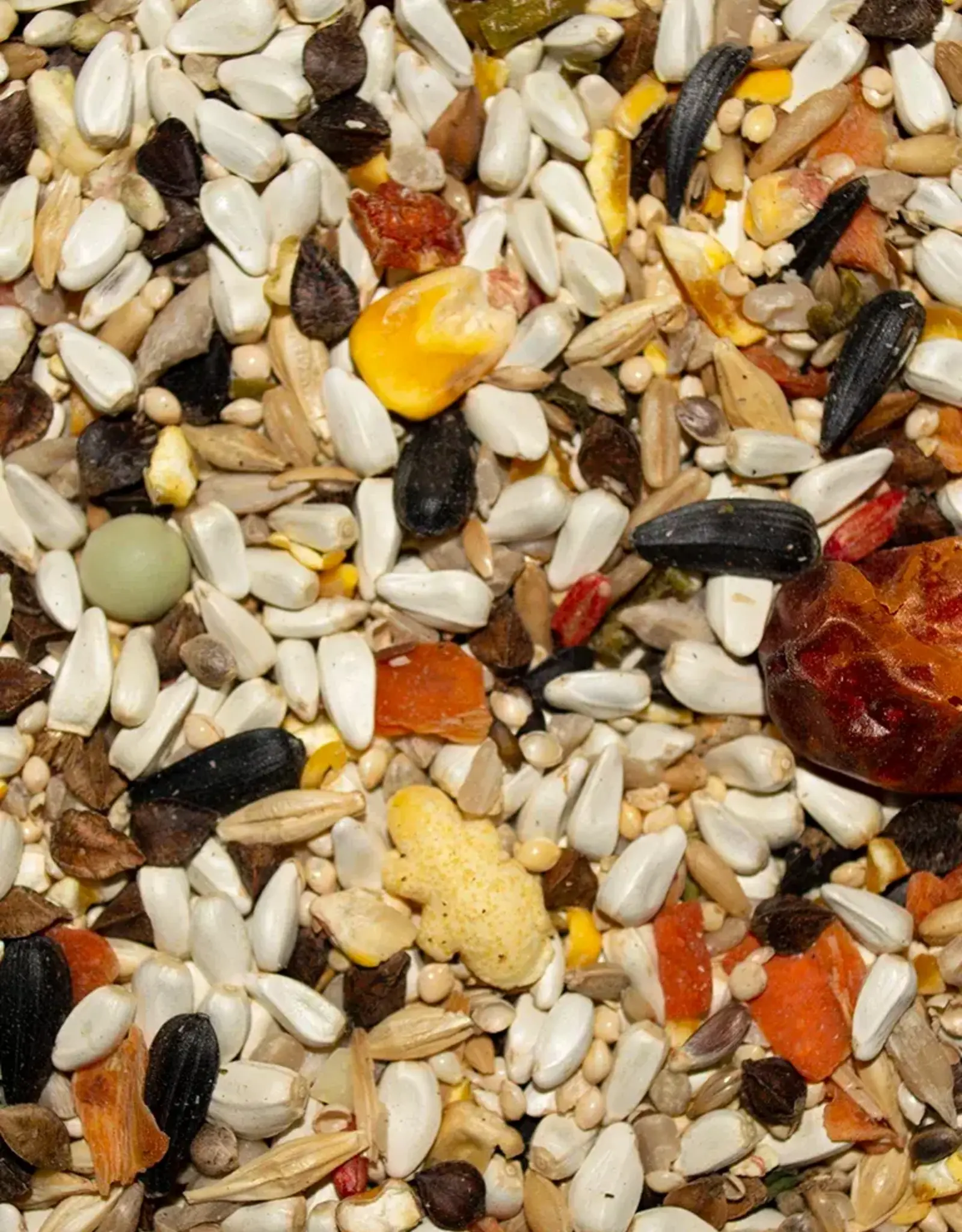 VOLKMAN SEED COMPANY INC VOLKMAN- AVIAN SCIENCE- SUPER- PARROTLET 4 LB