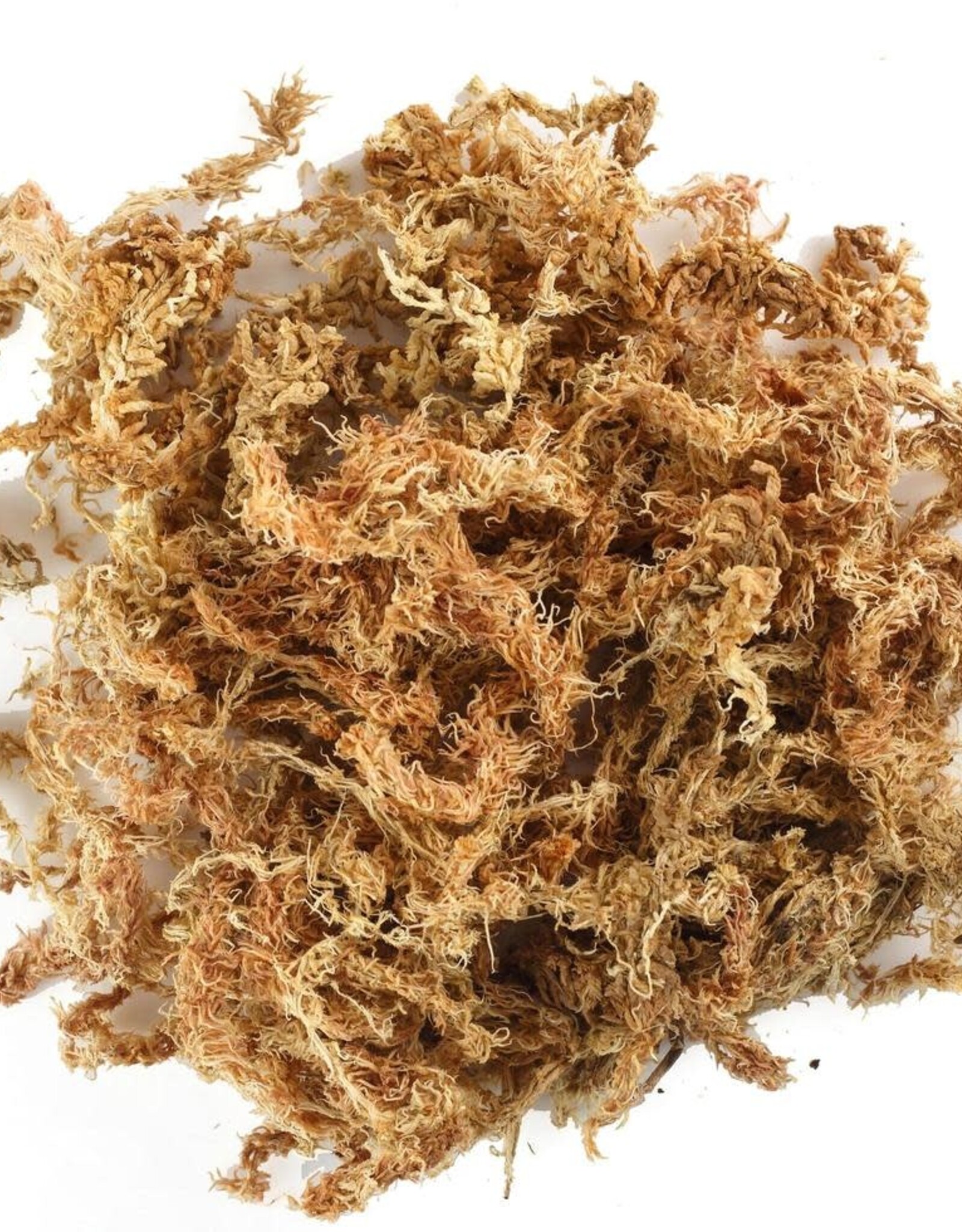 NEW ZEALAND- SPHAGNUM MOSS- 4X6X6- 2 OZ
