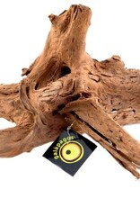 NATURAL PACK GALAPAGOS GALAPAGOS- DRIFTWOOD- 11-13 INCHES- MEDIUM
