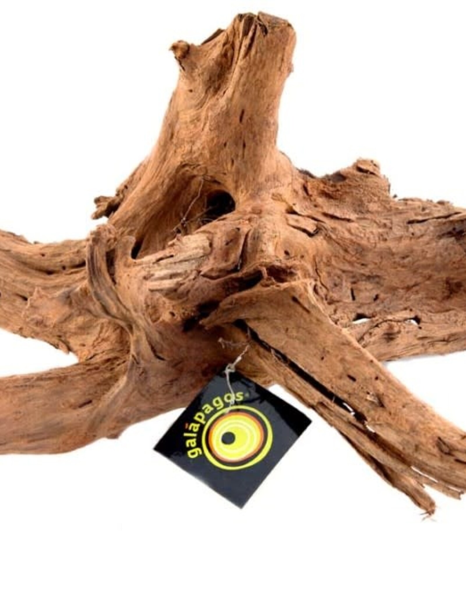 NATURAL PACK GALAPAGOS GALAPAGOS- DRIFTWOOD- 11-13 INCHES- MEDIUM